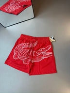 BERMA LACOSTE BIG CROC